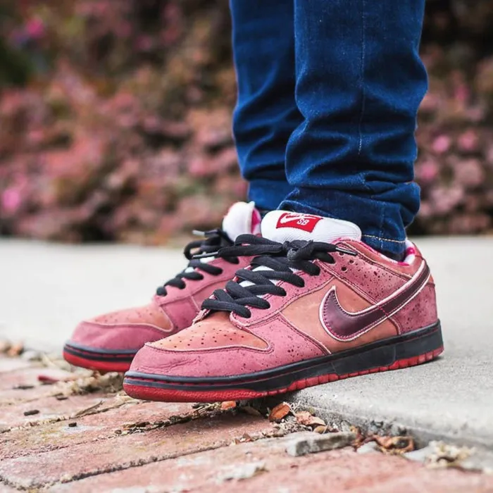 Nike Dunk Low Premium SB 'Lobster' 313170 661