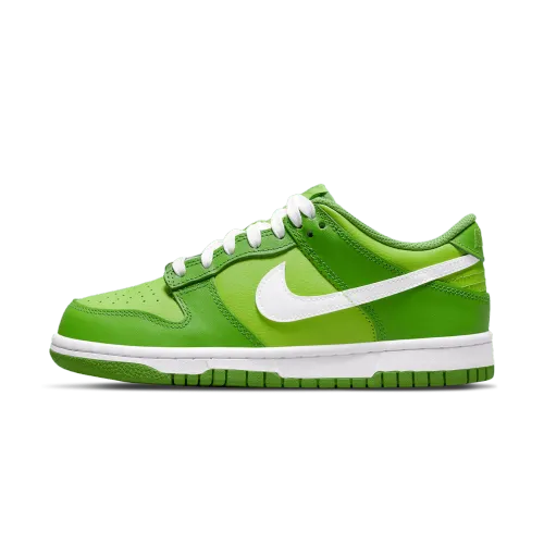 Nike Dunk Low GS 'Dark Chlorophyll' DH9765-301