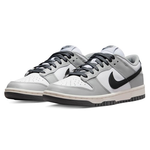 Nike Dunk Low Wmns 'Light Smoke Grey' DD1503-117