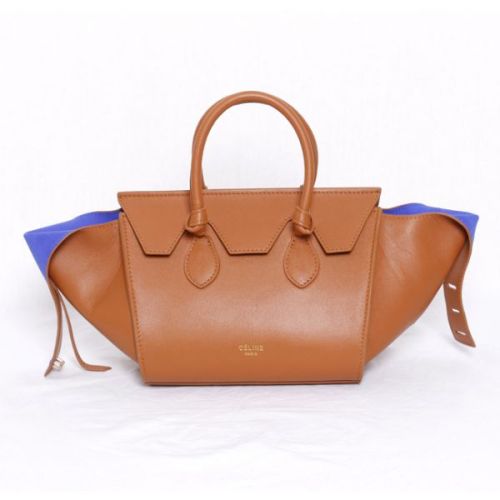 Celine handbags AAA-246