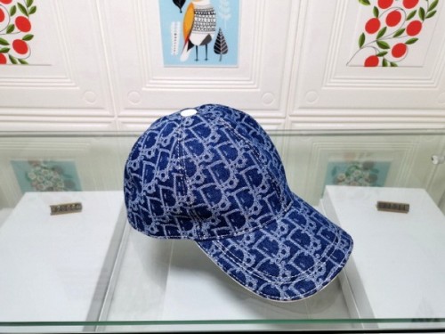 Dior Hats AAA-070