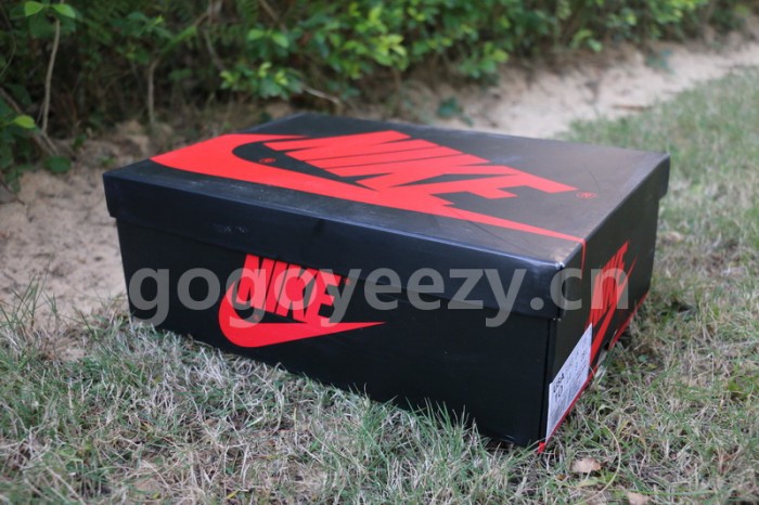 Authentic Air Jordan 1 OG Blue Moon
