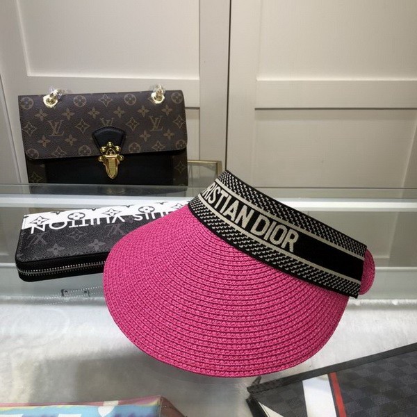 Dior Hats AAA-544