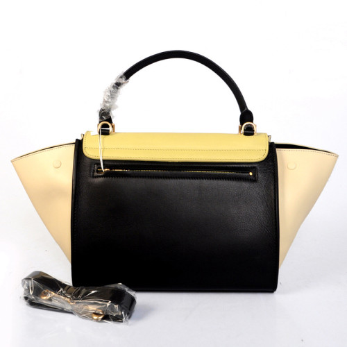 Celine handbags AAA-277