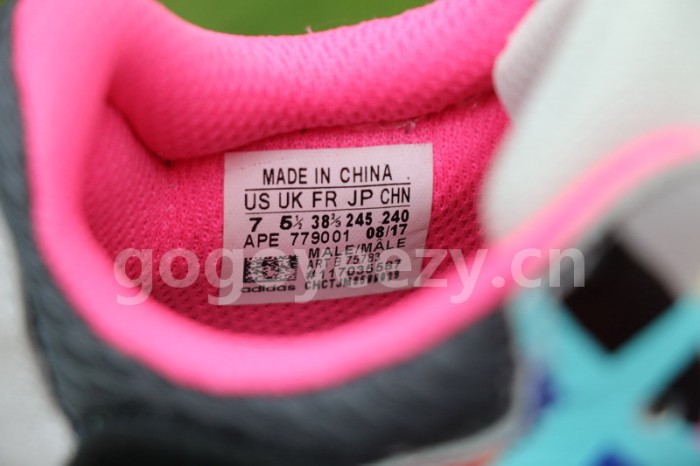 Authentic Kaws x AD Yeezy Wave Runner 700 Boost