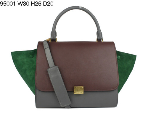Celine handbags AAA-300