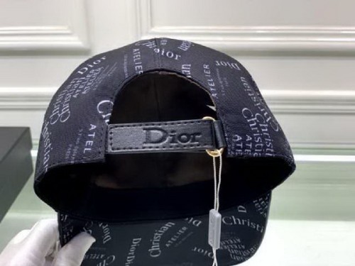 Dior Hats AAA-256