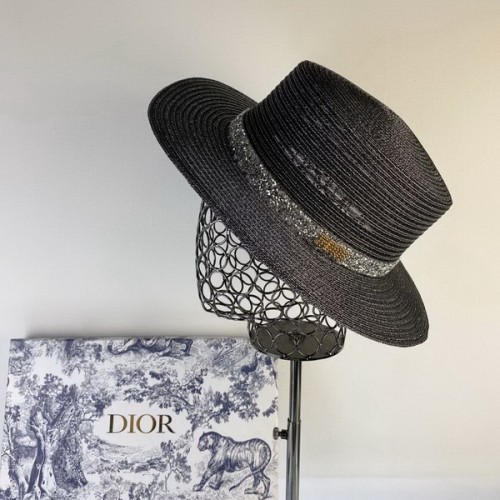 Dior Hats AAA-039