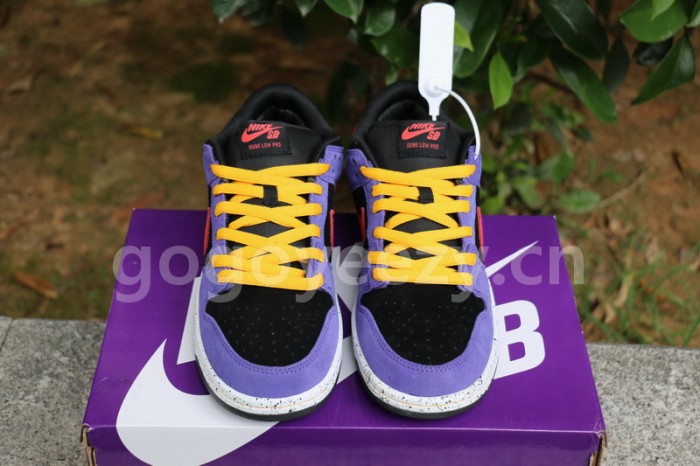 Authentic  Nike SB Dunk Low “ACG”
