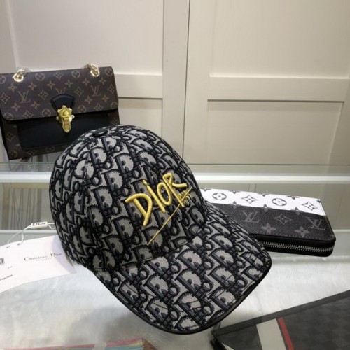 Dior Hats AAA-413