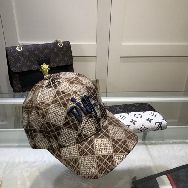 Dior Hats AAA-411