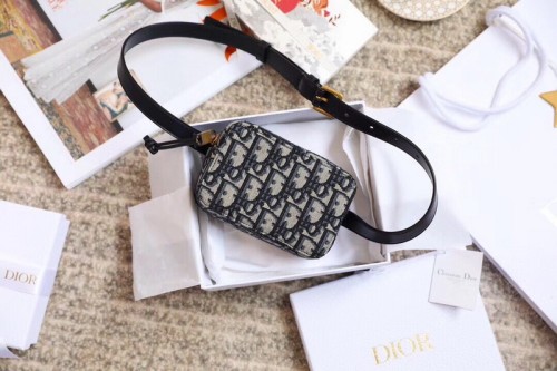 Dior Handbags High End Quality-007