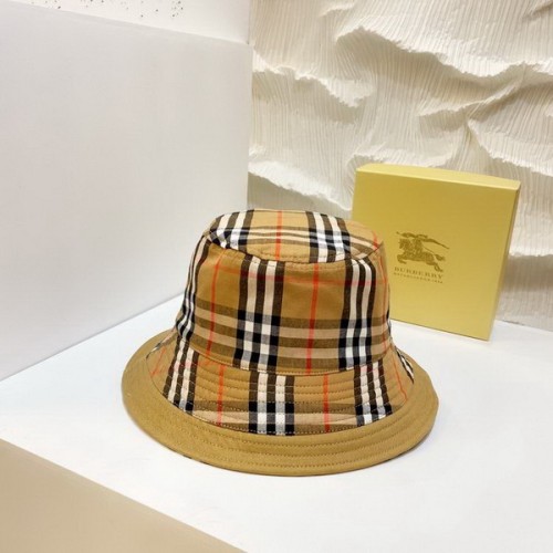 Burrerry Hats AAA-347