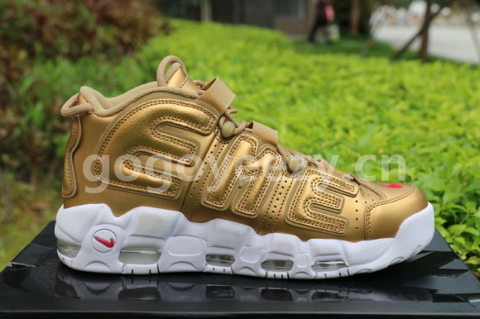 Authentic Supreme x Nike Air More Uptempo Gold