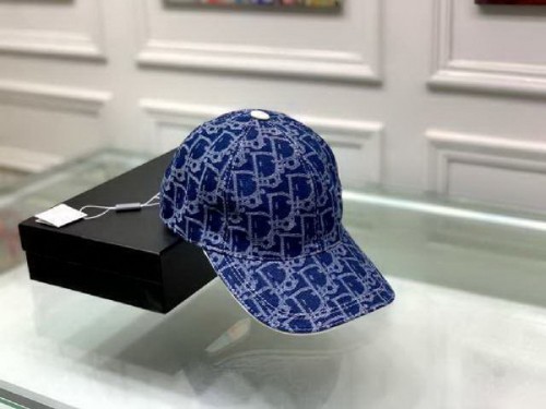Dior Hats AAA-241