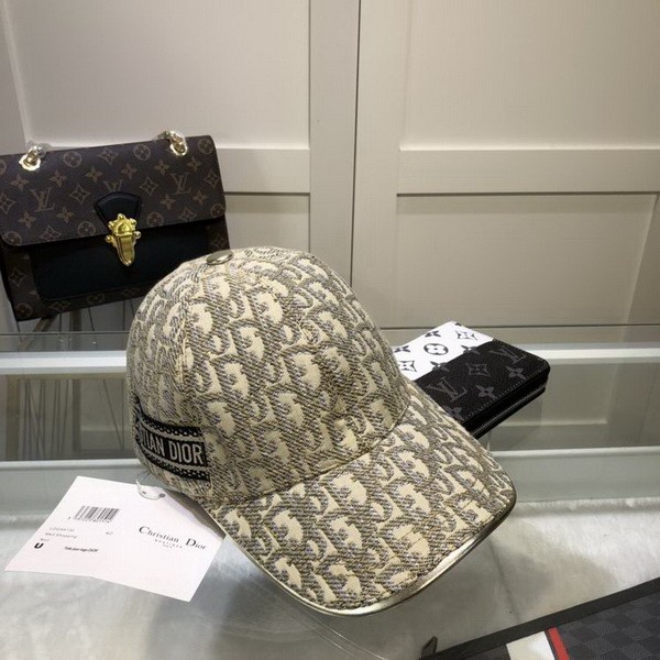 Dior Hats AAA-419