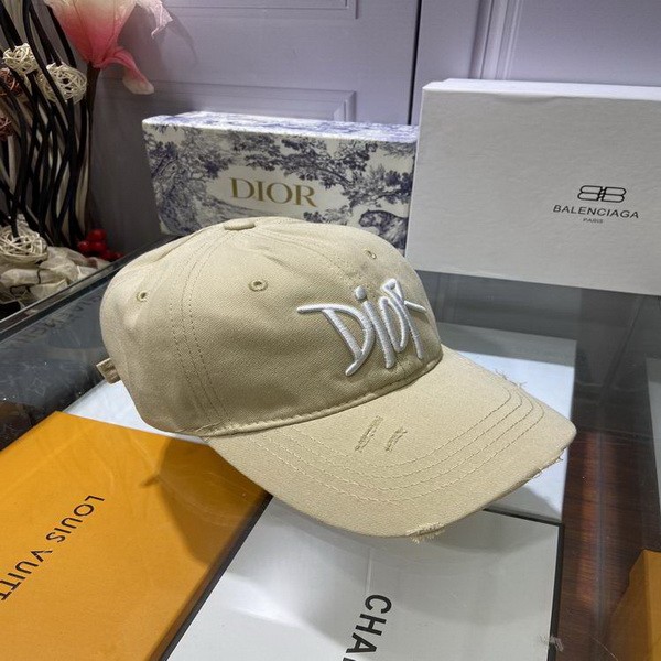 Dior Hats AAA-454