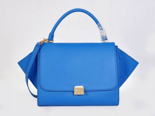 Celine handbags AAA-316