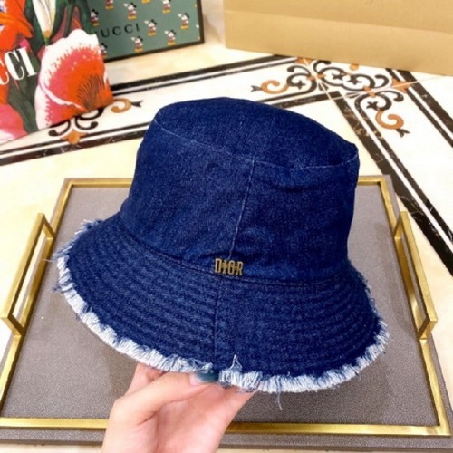 Dior Hats AAA-100