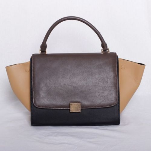 Celine handbags AAA-290
