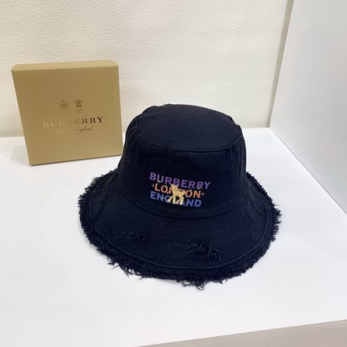 Burrerry Hats AAA-320