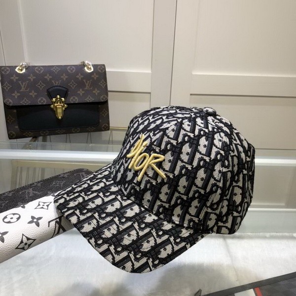 Dior Hats AAA-445