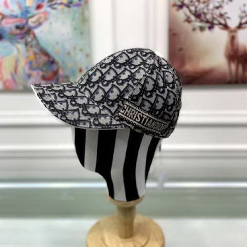 Dior Hats AAA-251