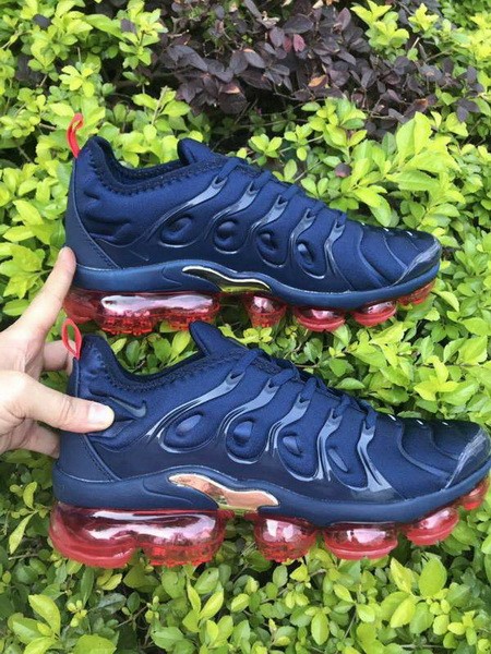 Nike Air Max TN Plus men shoes-1061