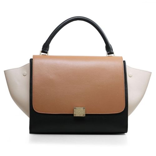 Celine handbags AAA-289
