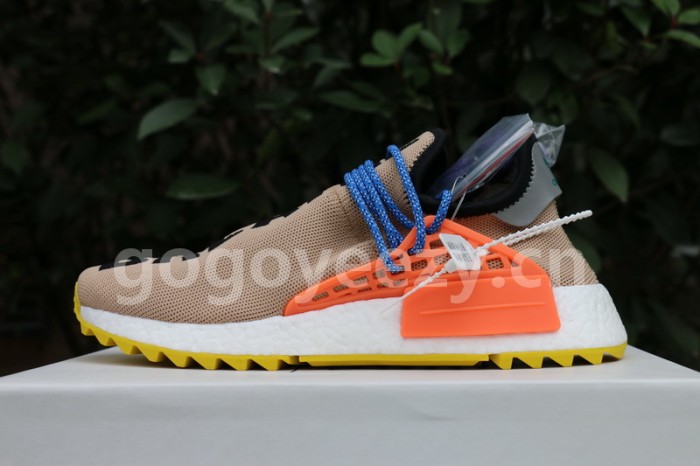 Authentic AD Human Race NMD x Pharrell Williams “Multicolor”