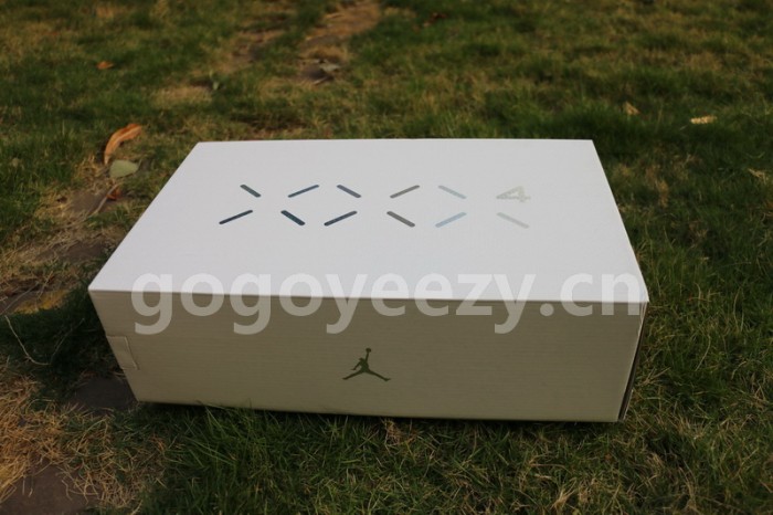 Authentic Air Jordan XXXIV White Metallic