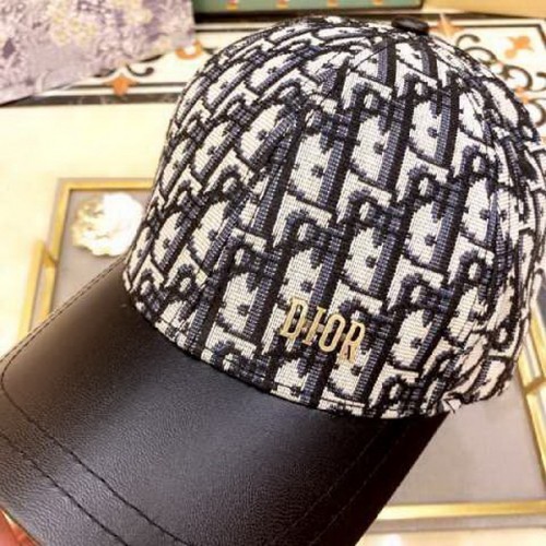 Dior Hats AAA-305