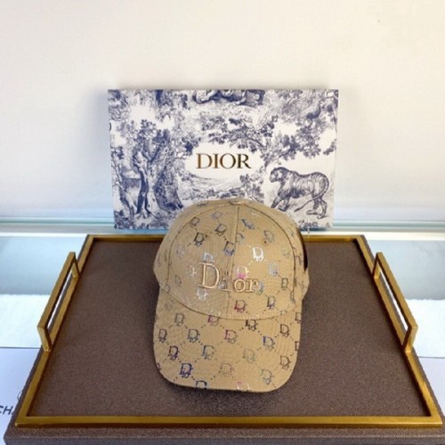 Dior Hats AAA-063