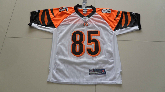 NFL Cincinnati Bengals-035