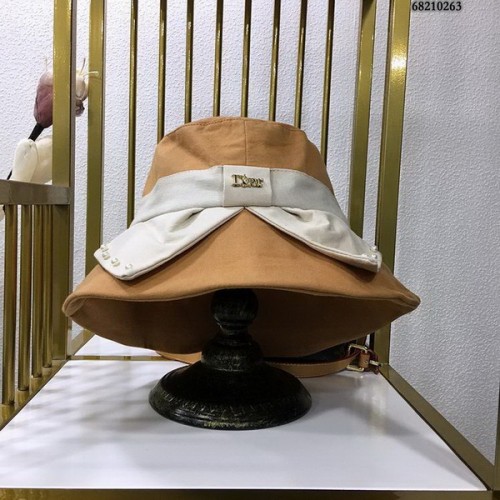 Dior Hats AAA-500