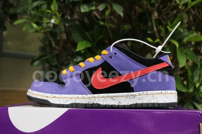 Authentic  Nike SB Dunk Low “ACG”