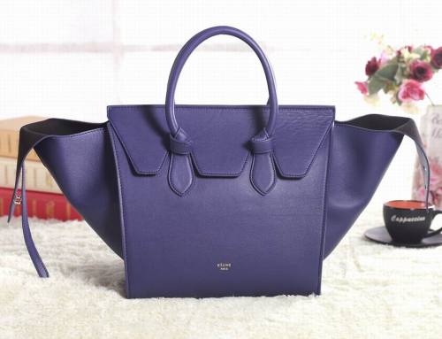 Celine handbags AAA-350