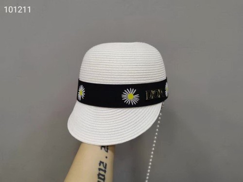 Dior Hats AAA-060