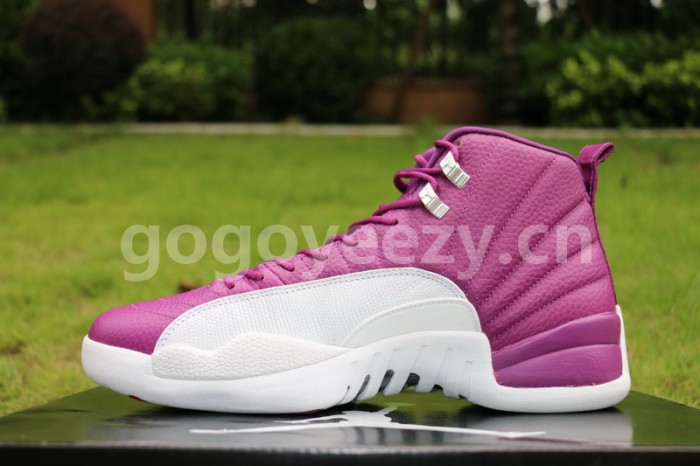 Authenitc Air Jordan 12 Kevin Martin
