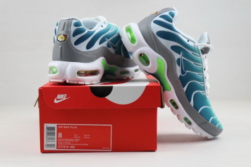 Nike Air Max TN Plus men shoes-1043