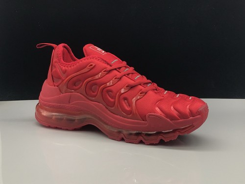 Nike Air Max TN Plus men shoes-505