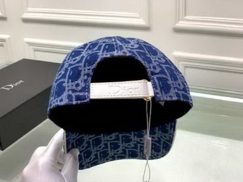 Dior Hats AAA-242