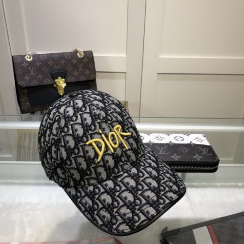 Dior Hats AAA-424
