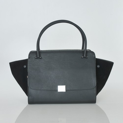 Celine handbags AAA-317