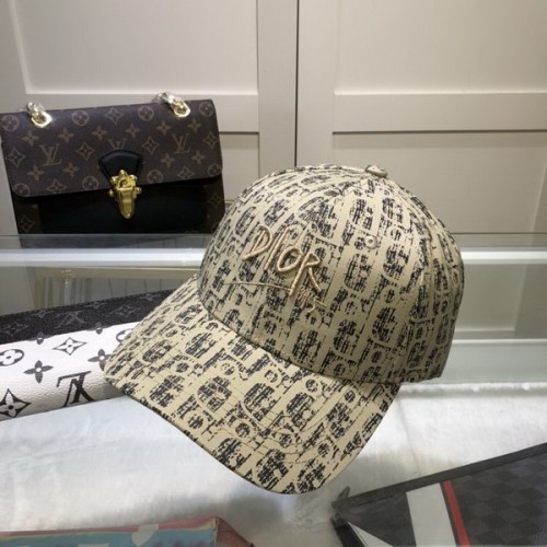 Dior Hats AAA-449