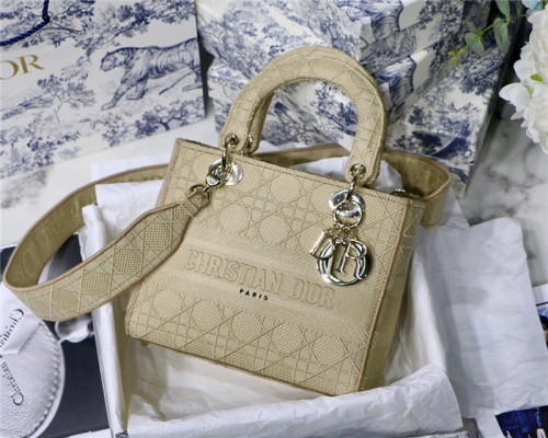 Dior Handbags High End Quality-084