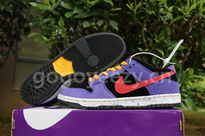 Authentic  Nike SB Dunk Low “ACG”