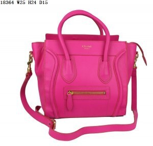 Celine handbags AAA-013