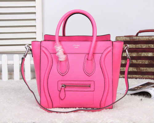 Celine handbags AAA-170