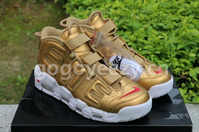 Authentic Supreme x Nike Air More Uptempo Gold